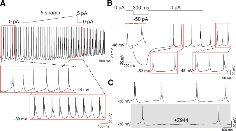 Figure 10.