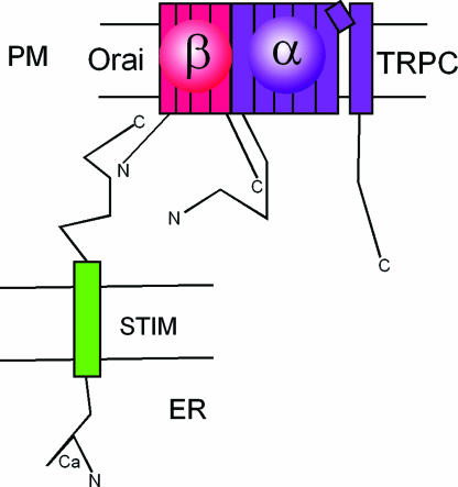 Fig. 5.