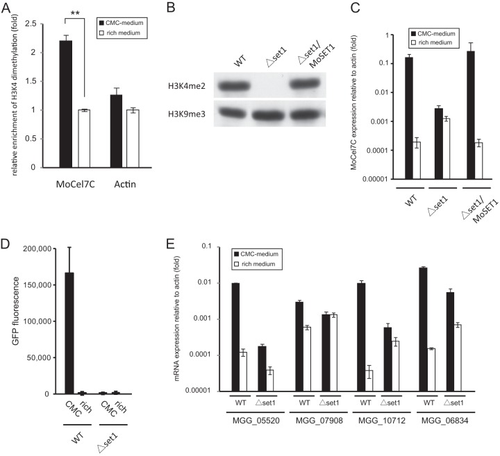 Fig 4