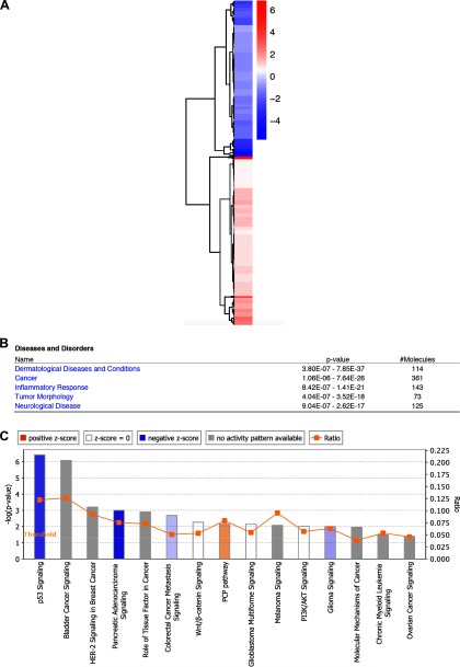 Figure 5a is a heatmap for differentially expressed genes. Figure 5b is table listing names of diseases and disorders, p-values and number of molecules for the studied data set. Figure 5c is a bar graph with pathway analysis plotting -log(p-value) (left y-axis) and ratio (right y-axis) for 15 pathways (x-axis). The positive z-score is for the PCP pathway; z-score equals is for the Wnt/beta-catenin signaling and glioma signaling; negative z-score is for the p53 signaling, PI3K/AKT signaling, and pancreatic adenocarcinoma signaling; no activity pattern available is for the bladder cancer signaling, HER-2 signaling in breast cancer, role of tissue factor in cancer, melanoma signaling, molecular mechanisms of cancer, chronic myeloid leukemia signaling, and ovarian cancer signaling; ratio is observed across all. Colorectal cancer metastasis signaling and glioma signaling pathways are also plotted.