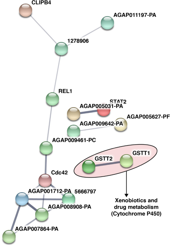 Fig. 4