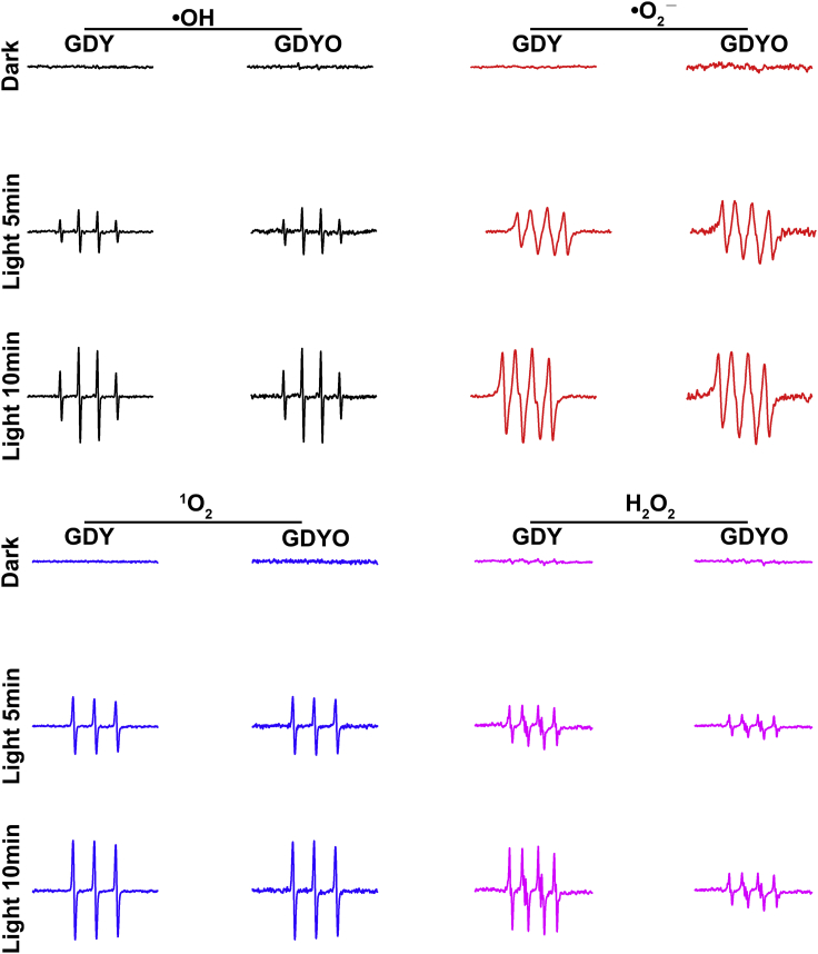 Figure 5