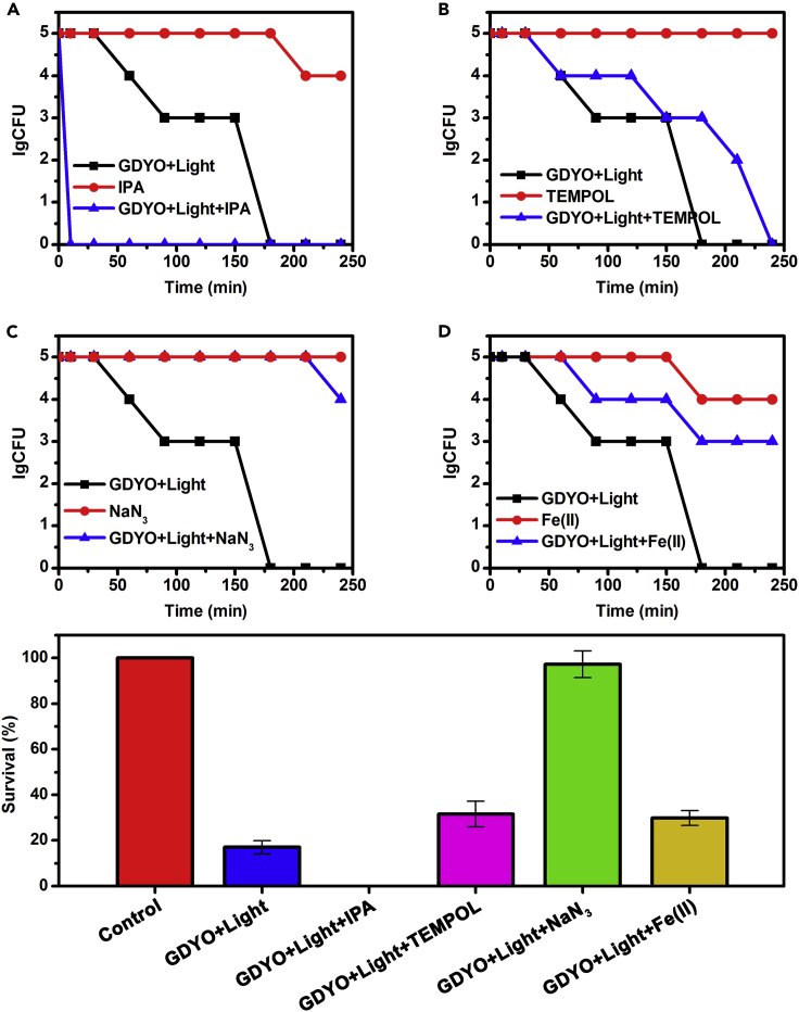 Figure 6