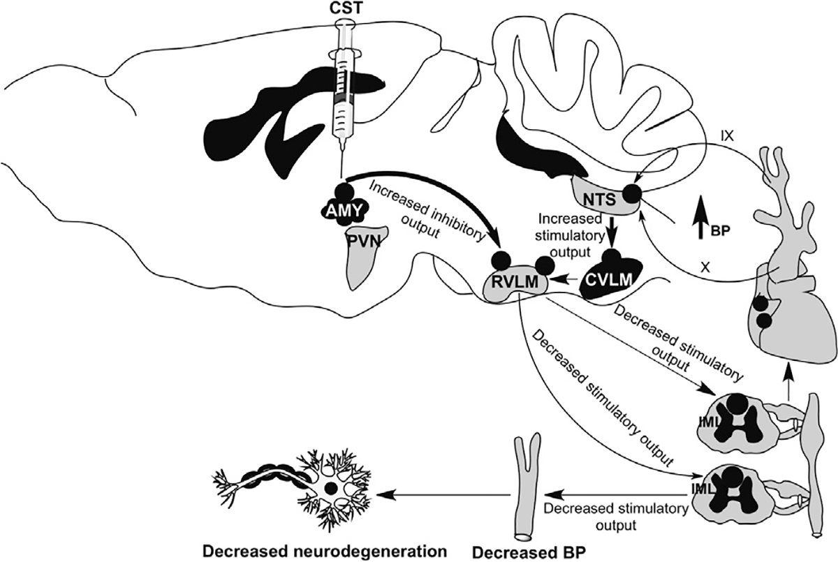 Fig. 6.