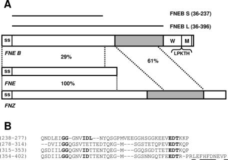 FIG. 1.