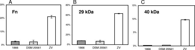 FIG. 5.