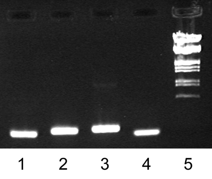 FIG. 7.