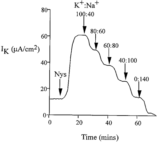 Figure 6