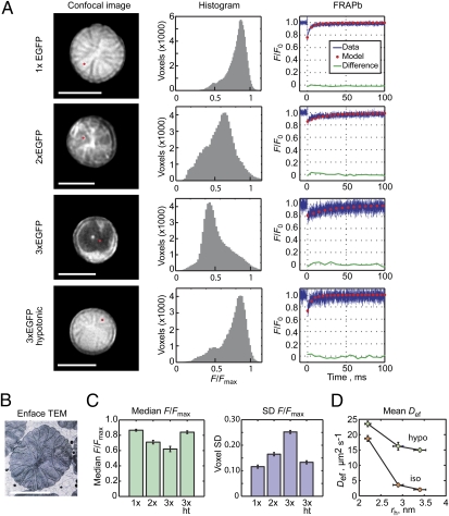 Fig. 3.