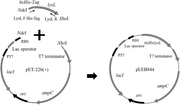 Figure 2.