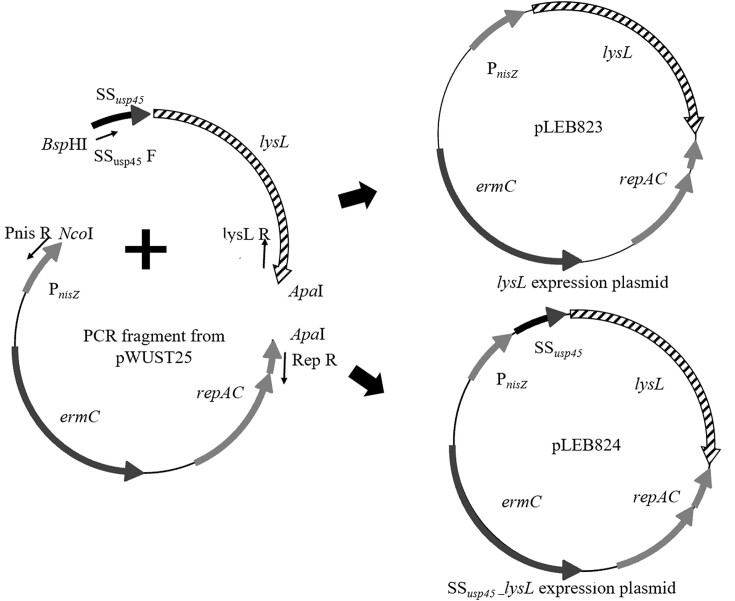 Figure 1.