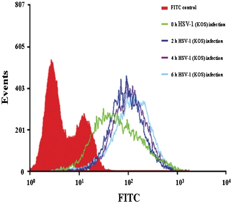 Fig. 7.