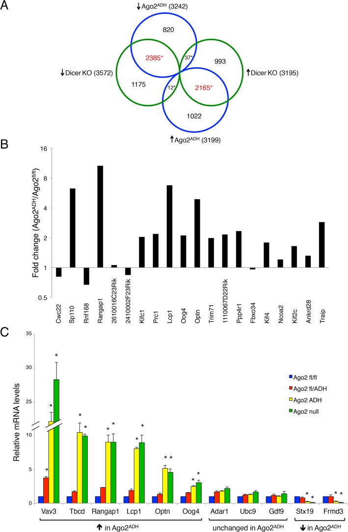 Fig 5