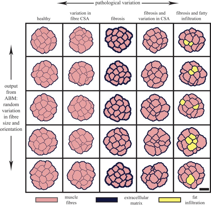 Figure 2.