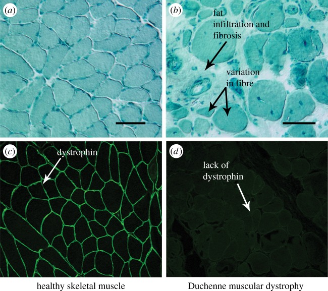 Figure 1.