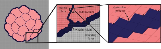 Figure 3.