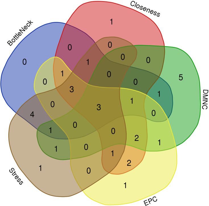 Figure 5