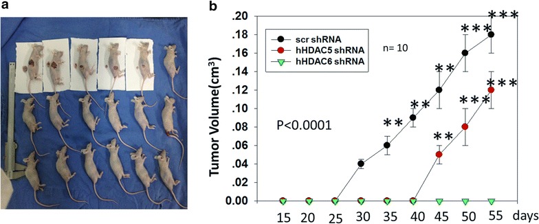 Fig. 6