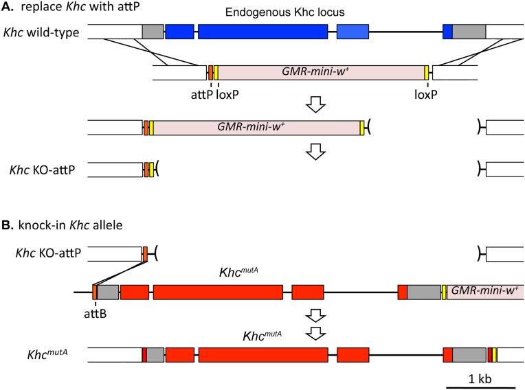 Fig. S4.