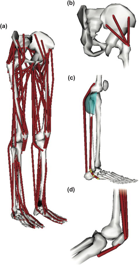 Fig. 2