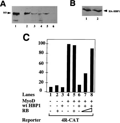 FIG. 8