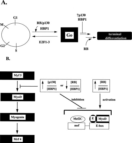 FIG. 10