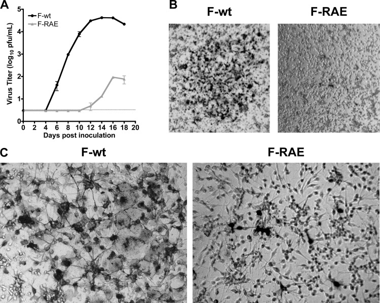 Fig 6