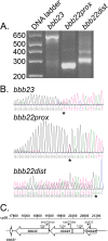 FIG 1