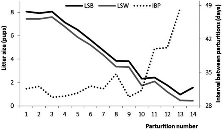 FIGURE 2