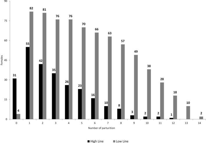 FIGURE 1