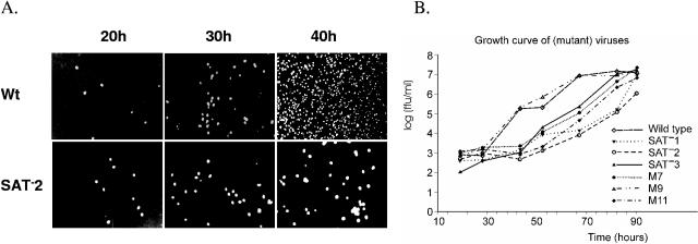 FIG. 6.