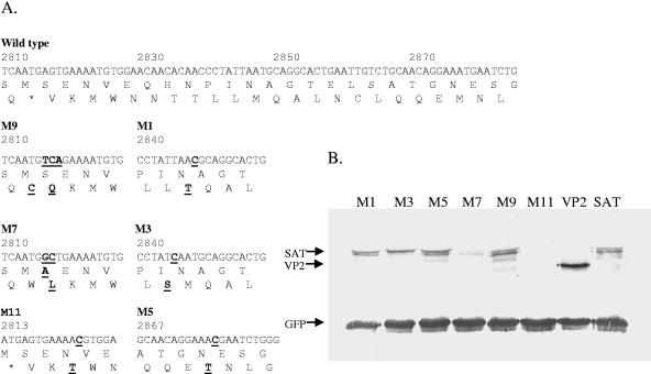 FIG. 5.