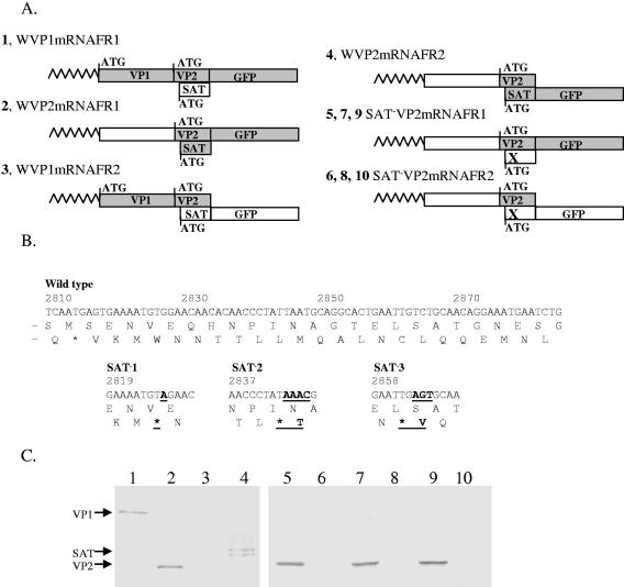 FIG. 4.