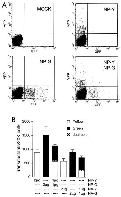 FIG. 1.