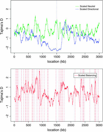 Figure 3.—