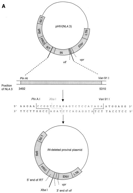 FIG.2.