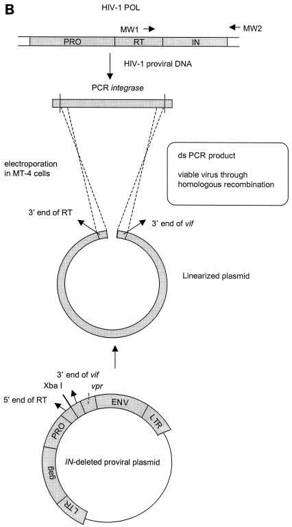 FIG.2.