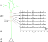 Extended Data Figure 2