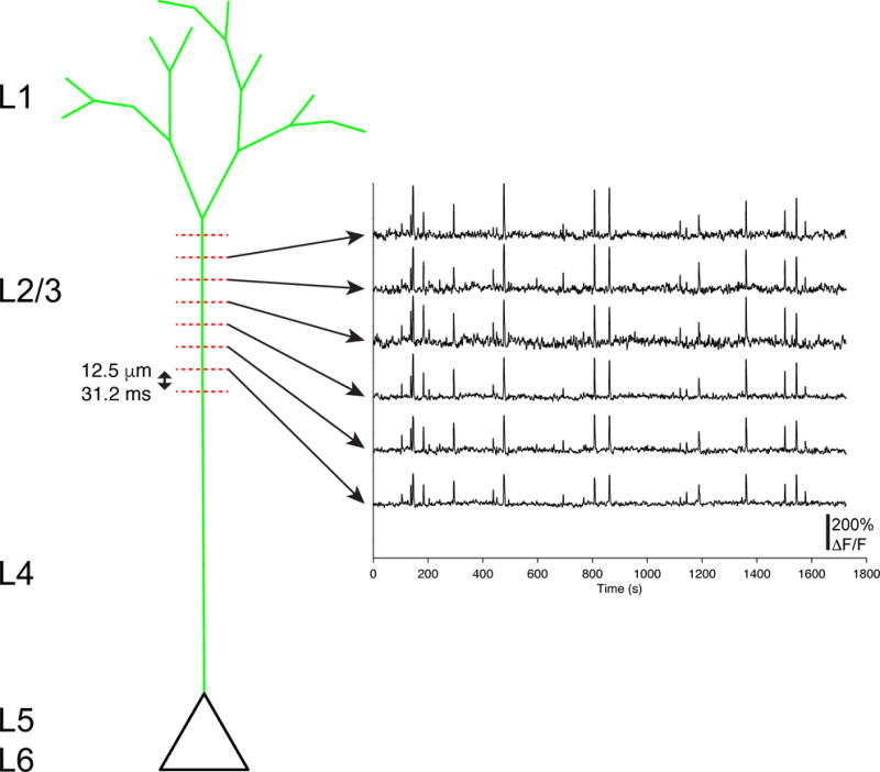 Extended Data Figure 2