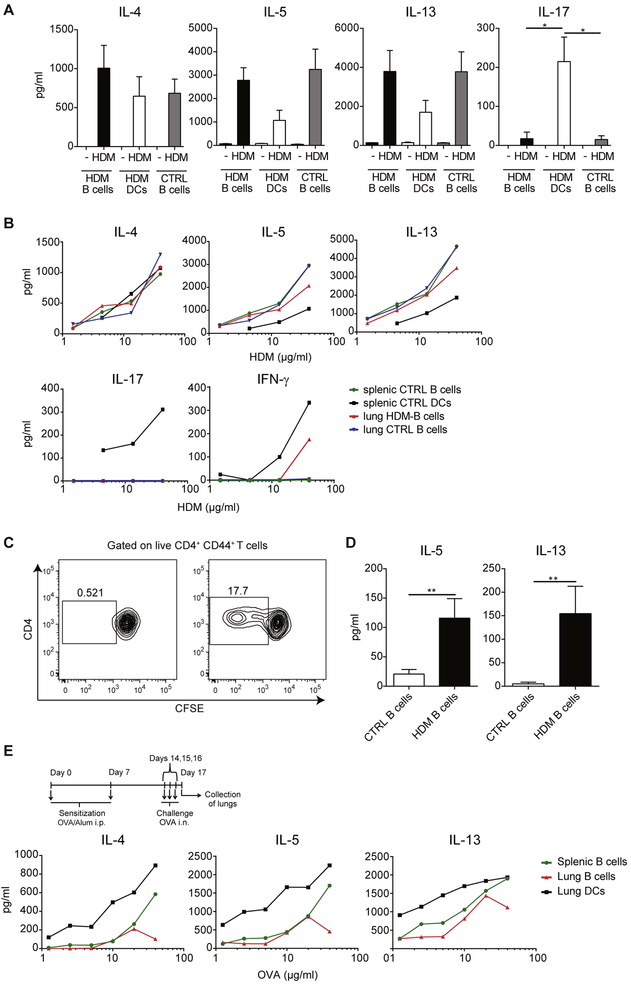 FIG 3.