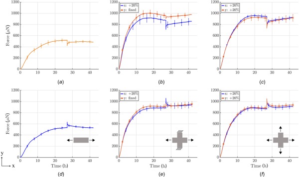 Influence of boundary conditions on force development prior to and after perturbing the load from steady-state (cells treated with Mitomycin C to minimize cell proliferation during testing; each curve shows the mean±SEM of three identical experiments). First row: 20% reduction in load after an initial 27 h culture period under uniaxial, strip-biaxial, or equi-biaxial ((a)–(c)) conditions. Second row: 20% increase in load after 27 h in uniaxial, strip-biaxial, and equi-biaxial ((d)–(f)) conditions.