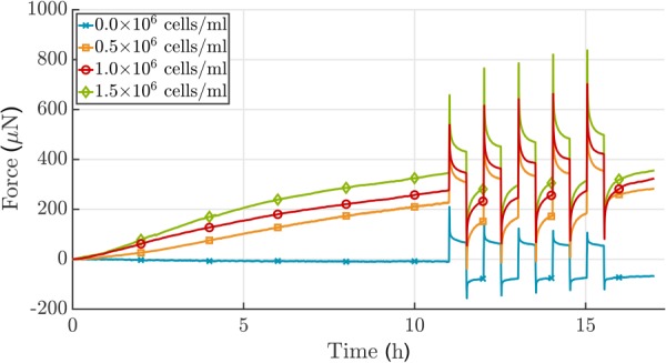 Analysis of the effect of 3T3 cell density on force development in case of a ±2.0% stretch alternating every 30 min after an initial 11 h culture period in uniaxial setting. The total force increases when the number of cells increases. Additionally, the amplitude of the resulting force perturbation due to applied stretch is higher for a larger number of cells. Since cells were not treated to prevent proliferation, no plateau in force was reached. The acellular gel shows typical viscoelastic relaxation behavior (collagen concentration 1.5 mg/mL), which differs dramatically from the active relaxation/recovery achieved via cell-mediation. Shown is one experiment for each cell density.