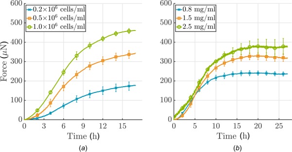 (a) Influence of cell density and (b) collagen concentration on force development in a uniaxial setting (cells were serum-starved; each curve shows the mean ± SEM for three identical experiments). (a) Note that force development depends nonlinearly on cell density: more cells/mL lead to higher forces; (b) force development depends nearly linearly on collagen concentration, higher concentrations lead to higher force.