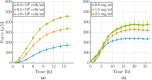 (a) Influence of cell density and (b) collagen concentration on force development in a uniaxial setting (cells were serum-starved; each curve shows the mean ± SEM for three identical experiments). (a) Note that force development depends nonlinearly on cell density: more cells/mL lead to higher forces; (b) force development depends nearly linearly on collagen concentration, higher concentrations lead to higher force.