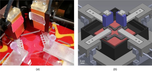 (a) Biaxial bioreactor and mechanical testing device with attached sample and (b) schematic drawing showing the inside of the bath chamber and the load cells mounted from above