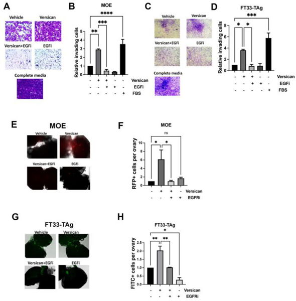 Figure 6: