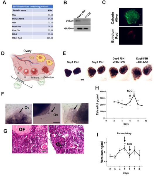 Figure 4: