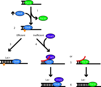 Fig. 3.