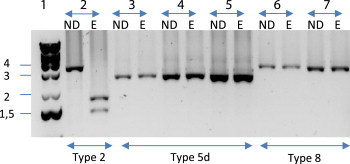 FIG. 1