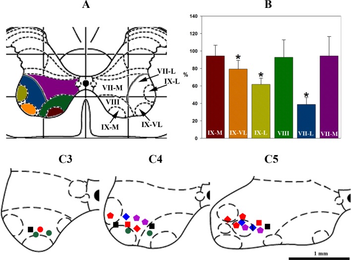 Fig. 7.